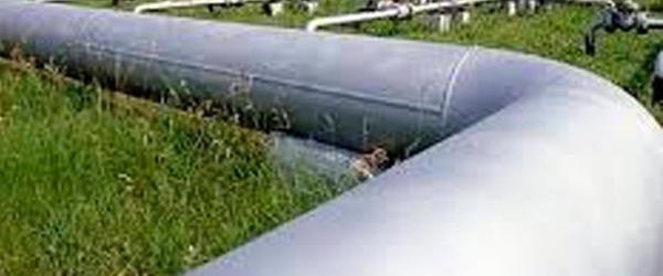 20210315032553_604ec5b1103cb.jpg
